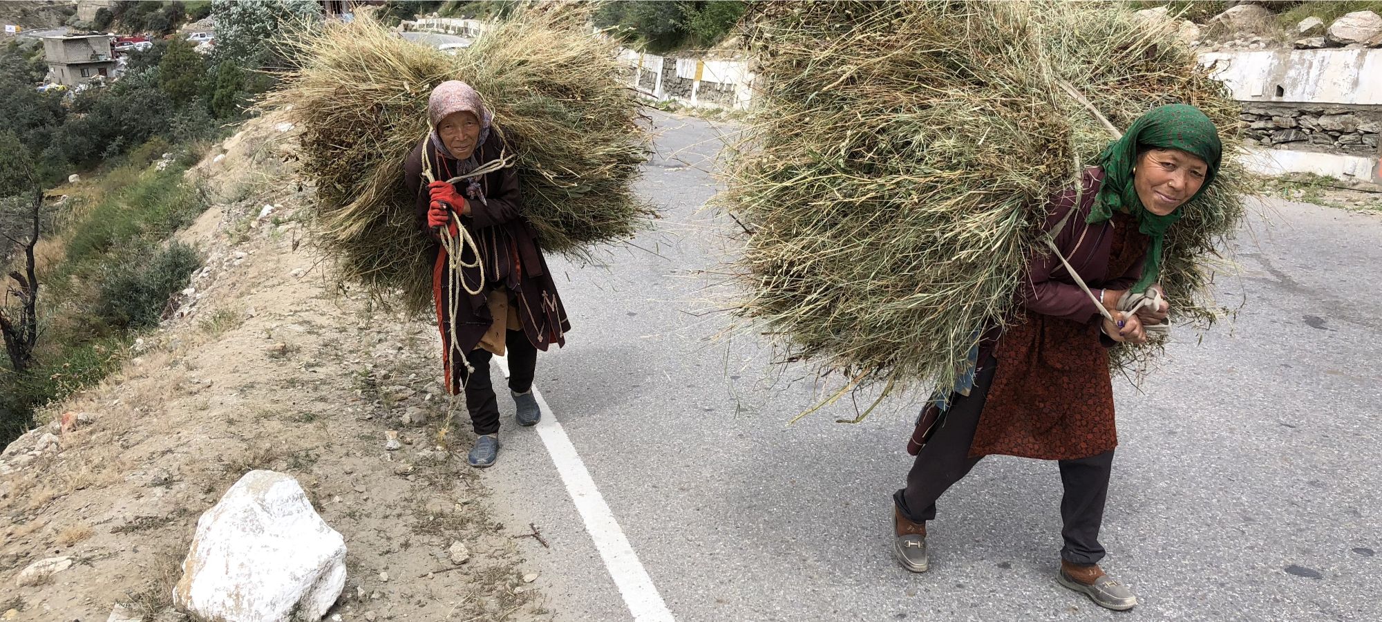 camping India himalaya